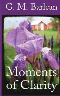 G. M. Barlean - Moments of Clarity, Häftad. Tillgänglighet: Lägg i varukorg