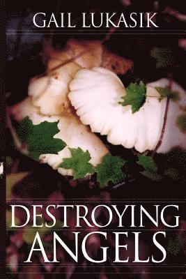 Gail Lukasik - Destroying Angels: A Leigh Girard Mystery, Häftad. Tillgänglighet: Lägg i varukorg