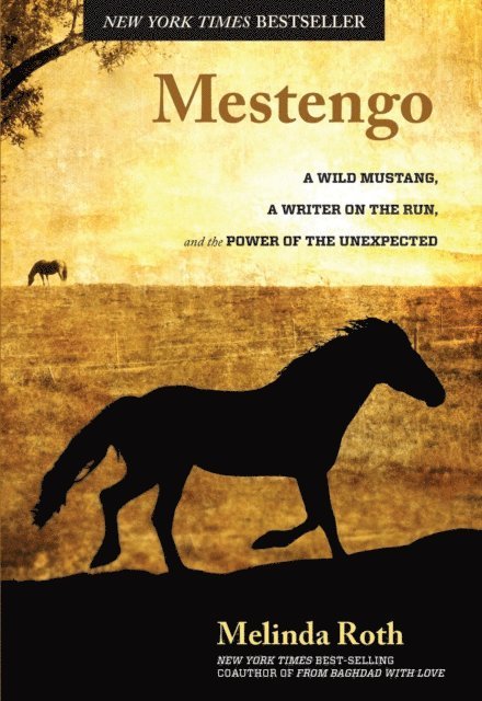 Melinda Roth - Mestengo, E-bok. Tillgänglighet: Lägg i varukorg