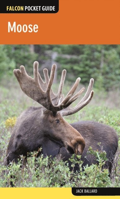 Jack Ballard - Moose, E-bok