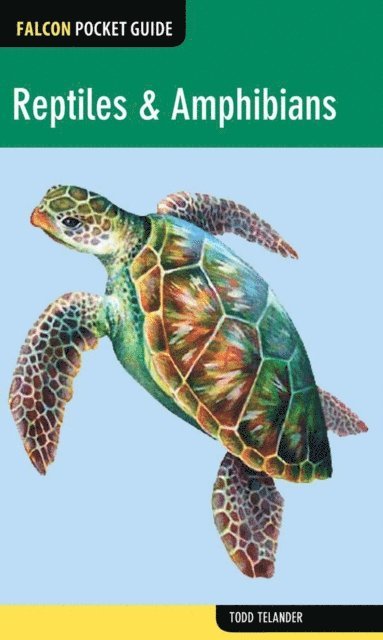 Todd Telander - Reptiles & Amphibians, E-bok