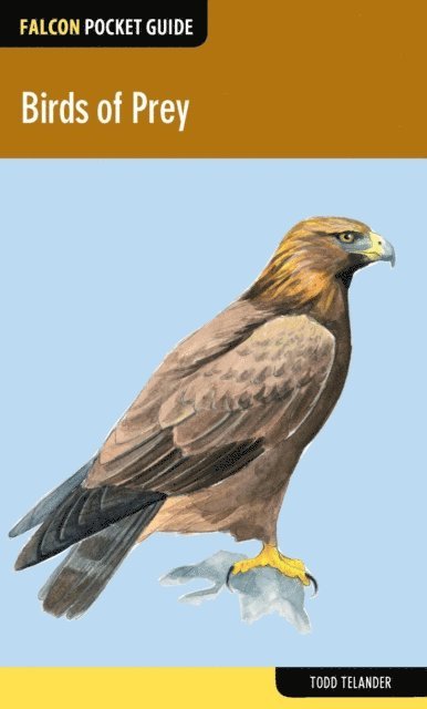 Todd Telander - Birds of Prey, E-bok