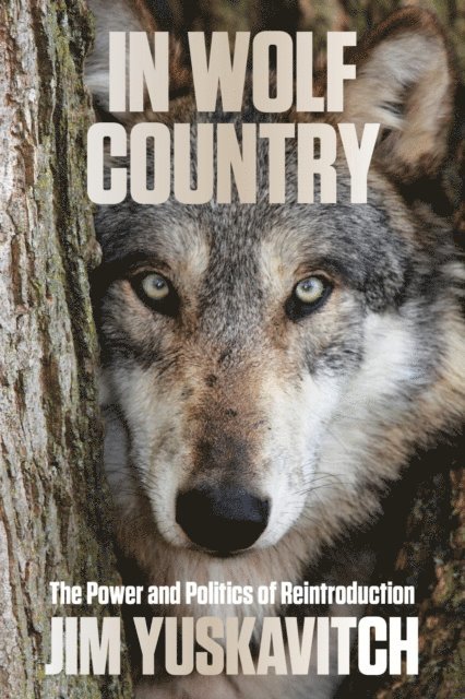 Jim Yuskavitch - In Wolf Country, E-bok