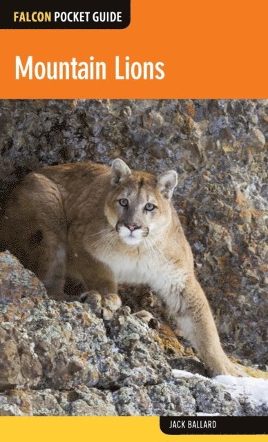 Jack Ballard - Mountain Lions, E-bok
