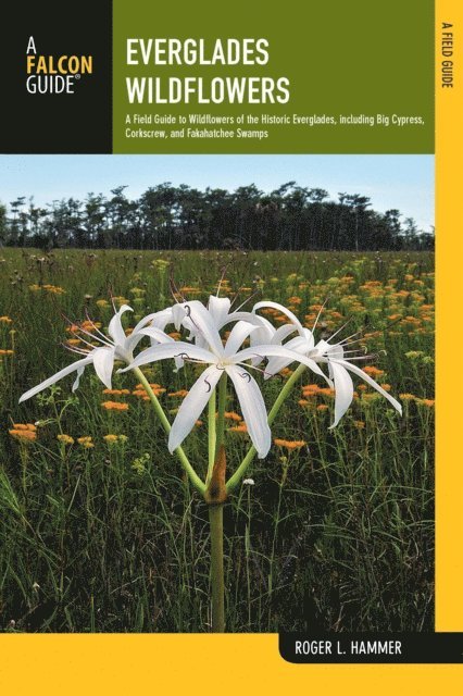 Roger L. Hammer - Everglades Wildflowers, E-bok