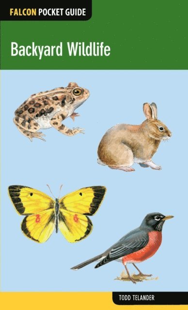 Todd Telander - Backyard Wildlife, E-bok
