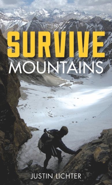 Justin Lichter - Survive, E-bok