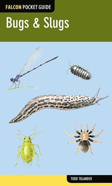 Todd Telander - Bugs & Slugs, E-bok