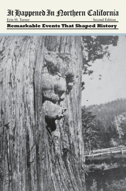 Erin H. Turner - It Happened in Northern California, E-bok