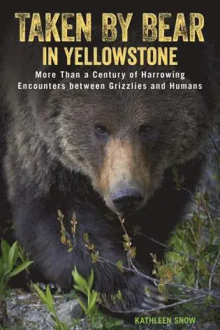 Kathleen Snow - Taken by Bear in Yellowstone, Häftad. Tillgänglighet: Lägg i varukorg