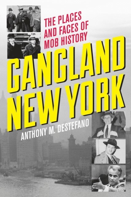 Anthony M. DeStefano - Gangland New York, E-bok