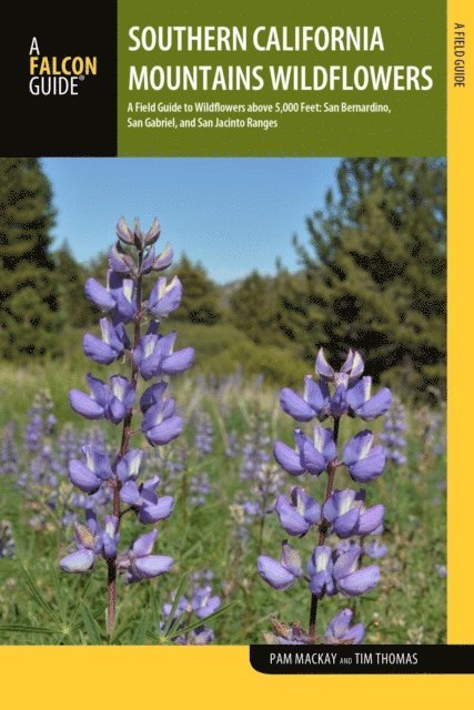 Timothy Thomas, Pam Mackay Thomas - Southern California Mountains Wildflowers, E-bok