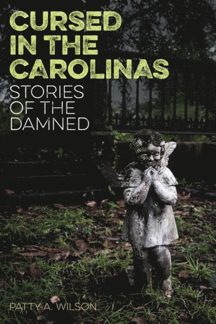 Patty A. Wilson - Cursed in the Carolinas, E-bok