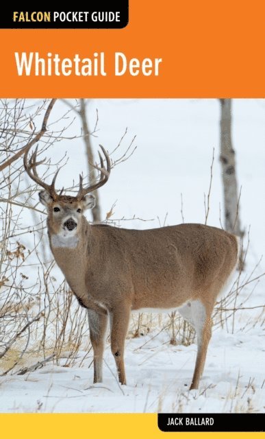 Jack Ballard - Whitetail Deer, E-bok