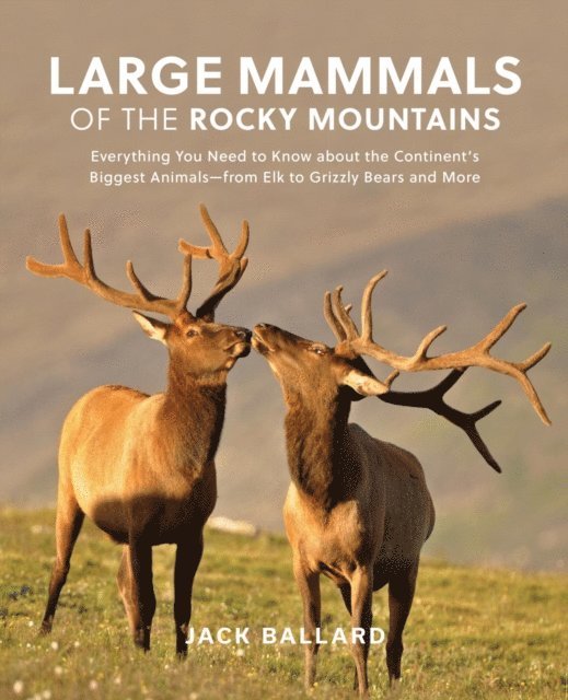 Jack Ballard - Large Mammals of the Rocky Mountains, E-bok