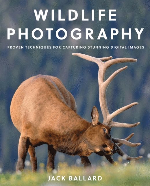 Jack Ballard - Wildlife Photography, E-bok
