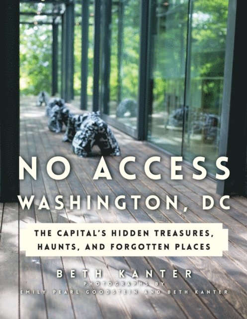 Beth Kanter - No Access Washington, DC, E-bok