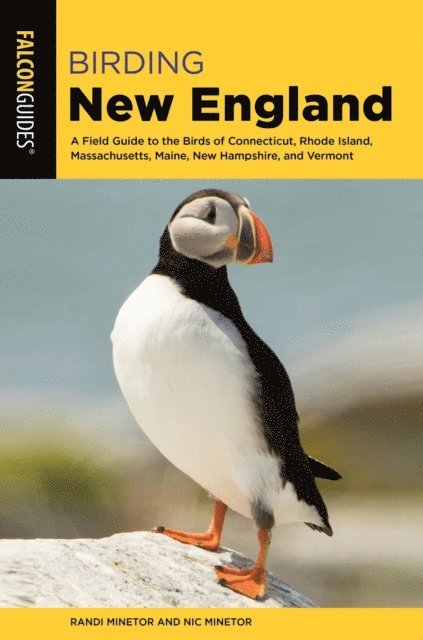 Nic Minetor, Randi Minetor - Birding New England, E-bok