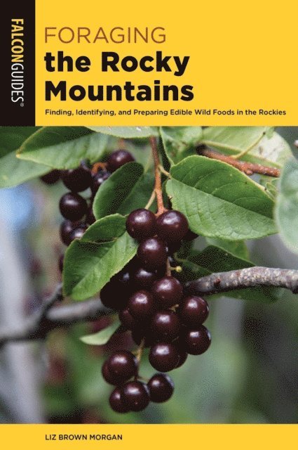 Liz Brown Morgan - Foraging the Rocky Mountains, E-bok