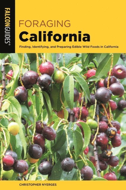 Christopher Nyerges - Foraging California, E-bok