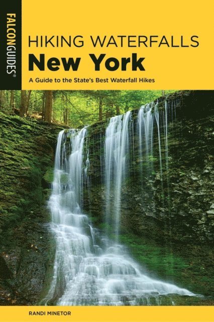 Randi Minetor - Hiking Waterfalls New York, E-bok