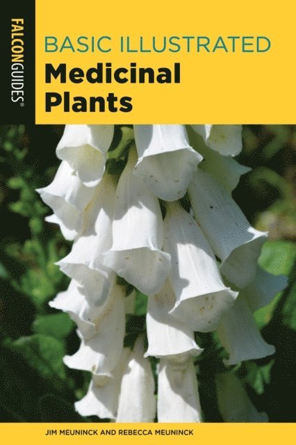 Rebecca Meuninck, Jim Meuninck - Basic Illustrated Medicinal Plants, E-bok