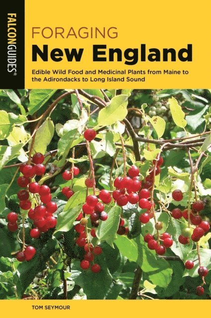 Tom Seymour - Foraging New England, E-bok