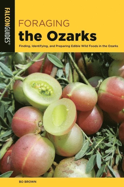Bo Brown - Foraging the Ozarks, E-bok