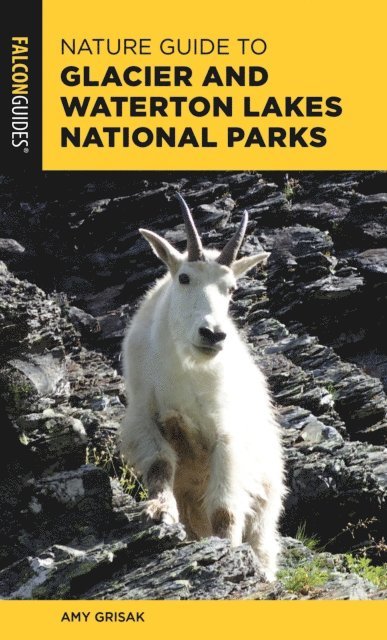 Amy Grisak - Nature Guide to Glacier and Waterton Lakes National Parks, E-bok