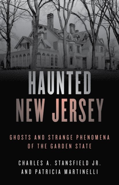 Charles A. Stansfield, Patricia A. Martinelli - Haunted New Jersey, E-bok