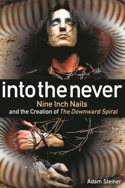 Adam Steiner - Into The Never, E-bok