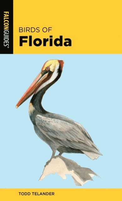 Todd Telander - Birds of Florida, E-bok