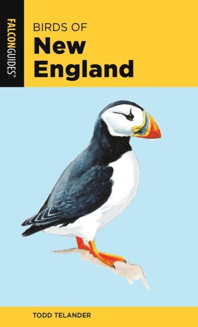 Todd Telander - Birds of New England, E-bok