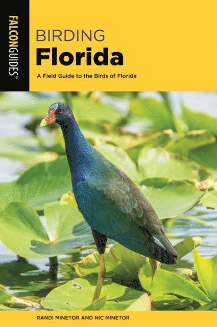 Nic Minetor, Randi Minetor - Birding Florida, E-bok. Tillgänglighet: Lägg i varukorg