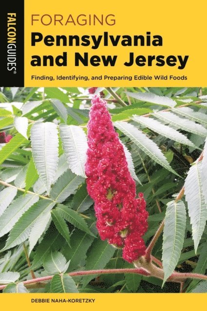 Debbie Naha-Koretzky - Foraging Pennsylvania and New Jersey, E-bok