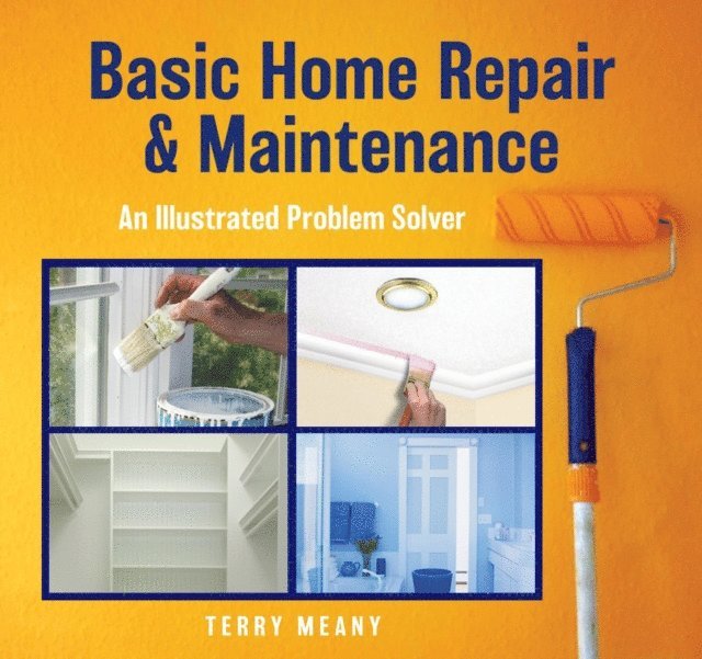 Terry Meany - Basic Home Repair & Maintenance, E-bok