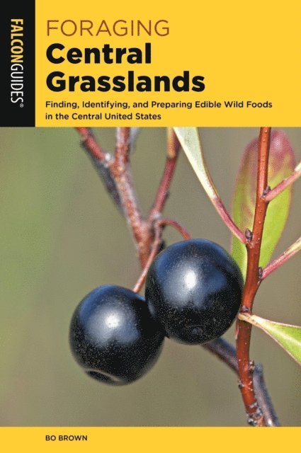 Bo Brown - Foraging Central Grasslands, E-bok