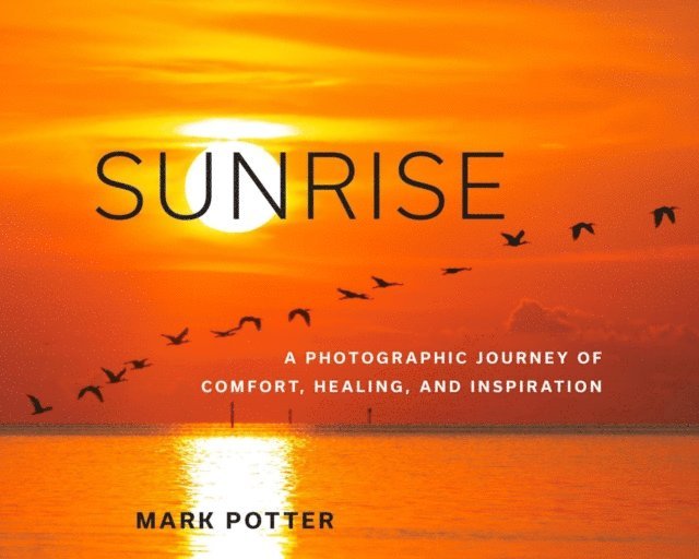 Mark Potter - Sunrise, E-bok