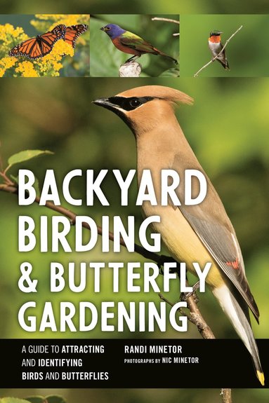 Backyard Birding and Butterfly Gardening av Randi Minetor