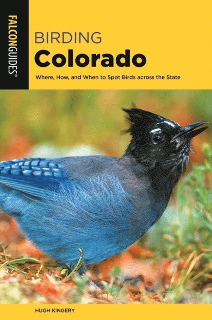 Hugh Kingery - Birding Colorado, E-bok