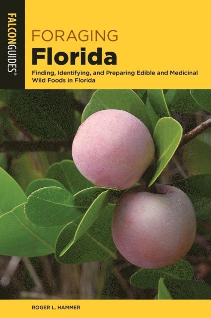 Roger L. Hammer - Foraging Florida, E-bok