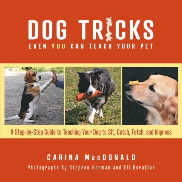 Carina MacDonald - Dog Tricks Even You Can Teach Your Pet, E-bok