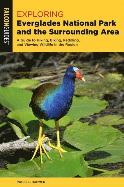 Roger L. Hammer - Exploring Everglades National Park and the Surrounding Area, E-bok
