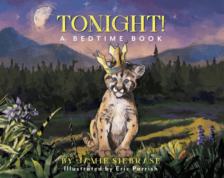 Jamie Siebrase - Tonight!, Inbunden
