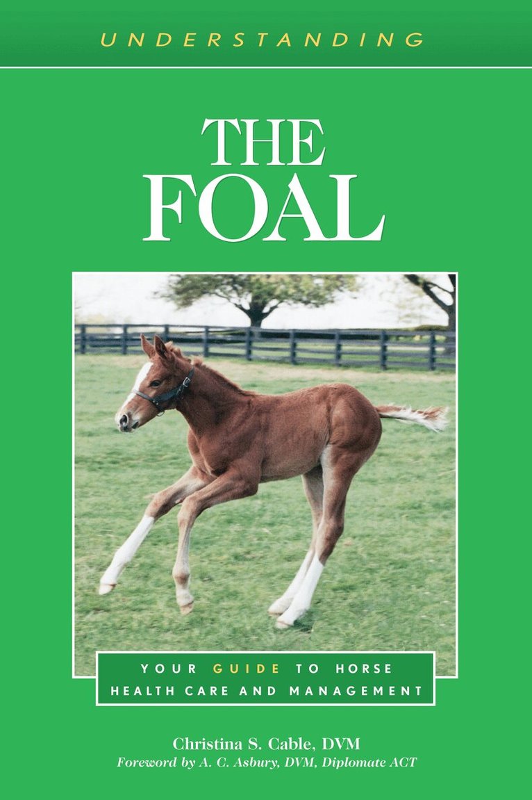 Christina S. Cable - Understanding the Foal, Häftad