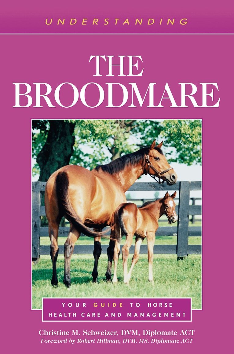 Christine M. Schweizer - Understanding the Broodmare, Häftad