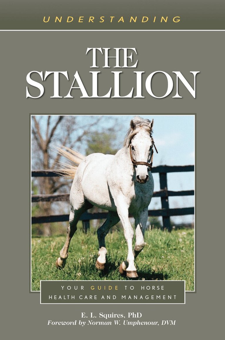 E. L. Squires - Understanding the Stallion, Häftad