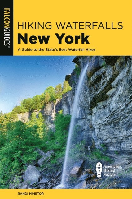 Randi Minetor - Hiking Waterfalls New York, E-bok
