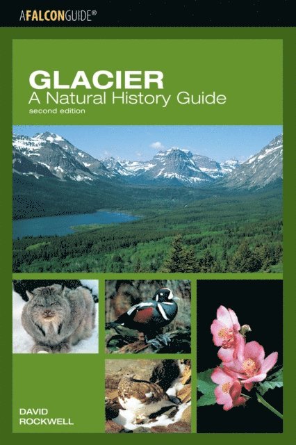 David Rockwell - Glacier: A Natural History Guide, E-bok. Tillgänglighet: Lägg i varukorg