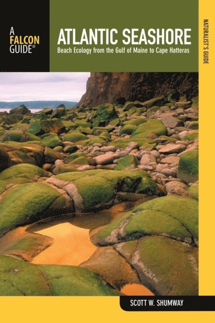Scott Shumway - Naturalist's Guide to the Atlantic Seashore, E-bok
